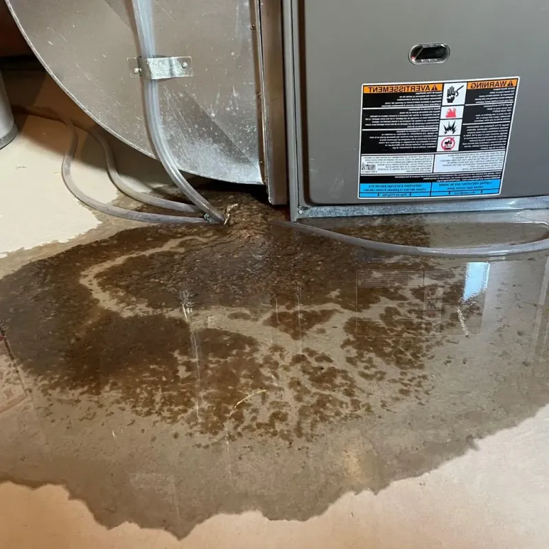 Pipe Burst and Leak Restoration in Greene County, NY